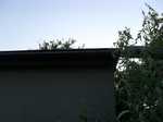 SAMSUNG ES15 / VLUU ES15 / SAMSUNG SL30, T:1/350, A:f/3.2, P:2, ISO100, F:63mm, EV:0 <br />01.07.2014 -  20:13:52